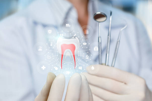 Trusted Rural Hall, NC  Holistic Dental Services Experts